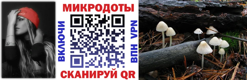 купить наркоту  кракен вход  Галлюциногенные грибы мицелий  Копейск 